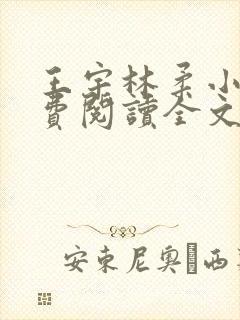 王宇林柔小说免费阅读全文最新章节封面