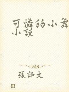 可怜的小舞不乐小说