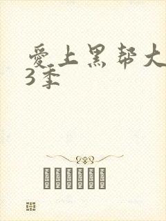 爱上黑帮大佬第3季