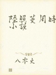 陆照菱周时阅的小说