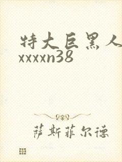 特大巨黑人吊性xxxxn38封面