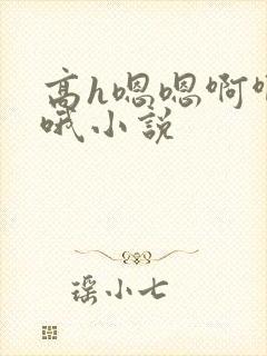 高h嗯嗯啊啊哦哦小说