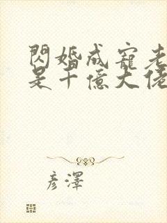 闪婚成宠老公竟是千亿大佬免费阅读笔趣阁封面