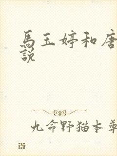 马玉婷和唐诚小说