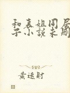 和表姐同居的日子小说未删减封面