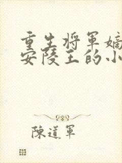 重生将军嫡女和安陵王的小说