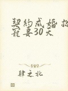 契约成婚 总裁宠妻30天