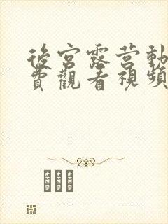 后宫露营动漫免费观看视频