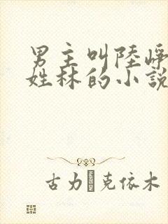 男主叫陆峥女主姓林的小说
