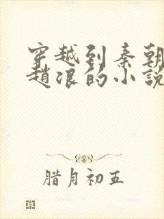 穿越到秦朝太子赵浪的小说