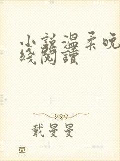 小说温柔晚风在线阅读