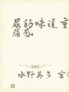 尿的味道重有刺痛感