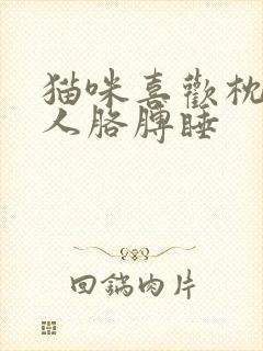 猫咪喜欢枕着主人胳膊睡