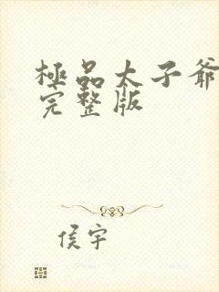 极品太子爷短剧完整版