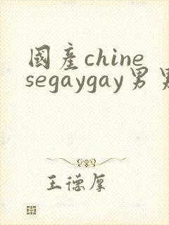 国产chinesegaygay男男网站