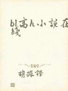 bl高h小说在线