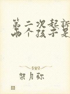 第二次起诉离婚两个孩子是怎么判