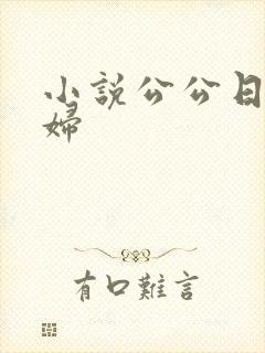 小说公公日儿媳妇