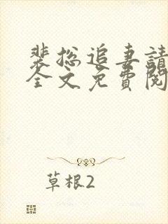 裴总追妻请排队全文免费阅读小说封面