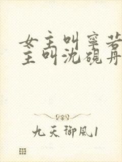 女主叫宁若曦男主叫沈砚舟的小说