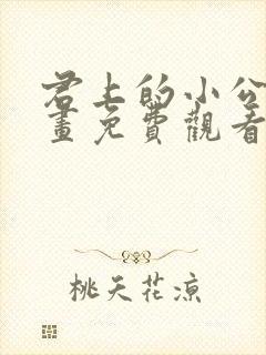 君上的小公主漫画免费观看下拉式六漫画