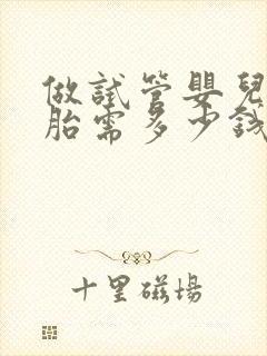 做试管婴儿双胞胎需多少钱