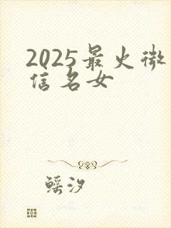 2025最火微信名女
