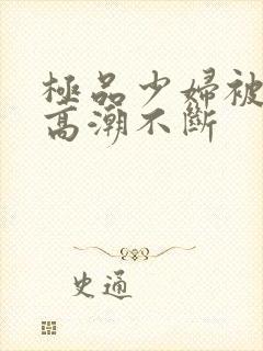 极品少妇被弄得高潮不断