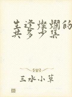 生逢灿烂的日子共多少集封面