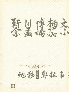 靳川傅柏文沈念念孟娇蕊小说封面