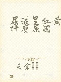 尿液呈红黄色是什么原因