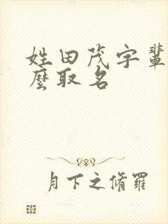 姓田茂字辈该怎么取名