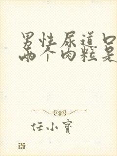 男性尿道口长了两个肉粒是怎么回事