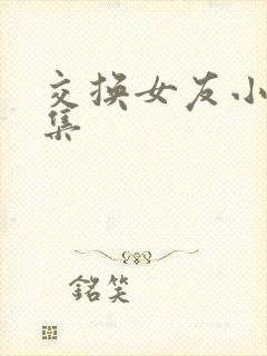 交换女友小说合集