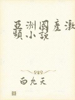 亚洲国产激情视频小说