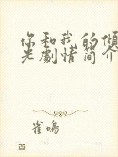 你和我的倾城时光剧情简介