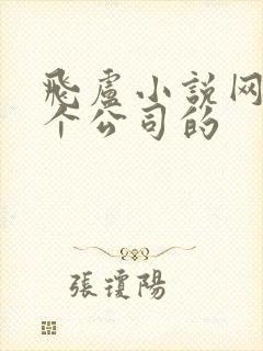 飞卢小说网是哪个公司的