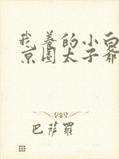 我养的小白脸是京圈太子爷短剧下载