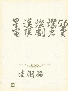 星汉灿烂56集电视剧免费看全集