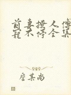 前妻撩人傅先生宠不停全集免费