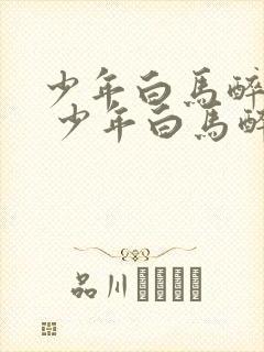 少年白马醉春风 少年白马醉春风封面