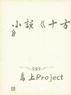 小说《十方神王》封面