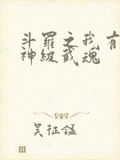 斗罗之我有十大神级武魂