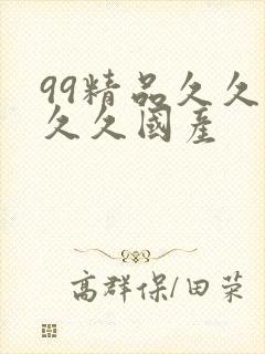 99精品久久久久久国产