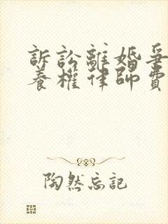 诉讼离婚争取抚养权律师费