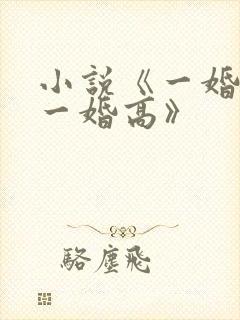 小说《一婚更比一婚高》封面