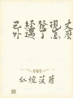 已经发现丈夫有外遇了怎么办封面