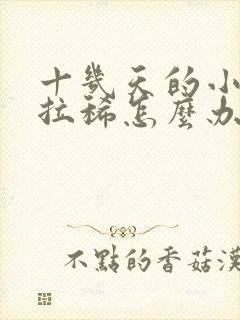 十几天的小奶狗拉稀怎么办