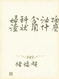 妇科分泌物豆腐渣状用什么药