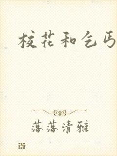 校花和乞丐更新